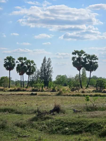 บ้านเหลื่อม, Nakhon Ratchasima, Wang Pho, Ban Luam, Nakhon Ratchasima, , 42,004 sqm, Land For Sale, by Nipawan Thurasuk, 500199732 - DDproperty.com