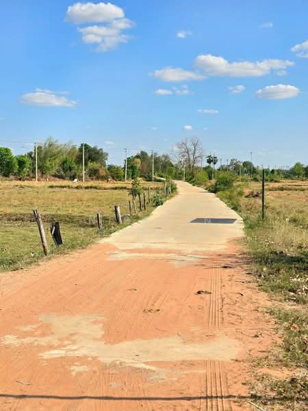 บ้านเหลื่อม, Nakhon Ratchasima, Wang Pho, Ban Luam, Nakhon Ratchasima, , 42,004 sqm, Land For Sale, by Nipawan Thurasuk, 500199732 - DDproperty.com