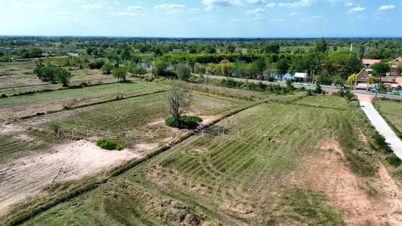บ้านเหลื่อม, Nakhon Ratchasima, Wang Pho, Ban Luam, Nakhon Ratchasima, , 42,004 sqm, Land For Sale, by Nipawan Thurasuk, 500199732 - DDproperty.com