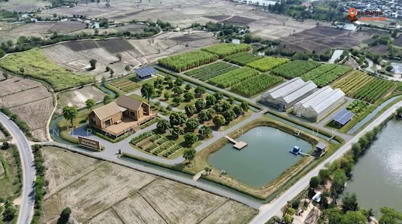 บ้านเหลื่อม, Nakhon Ratchasima, Wang Pho, Ban Luam, Nakhon Ratchasima, , 42,004 sqm, Land For Sale, by Nipawan Thurasuk, 500199732 - DDproperty.com