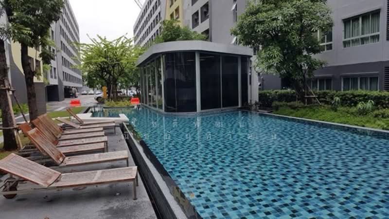 Elio Sukhumvit 64 : เอลลิโอ สุขุมวิท 64, กรุงเทพ, 99 ซอยสุขุมวิท 64, บางจาก, พระโขนง, กรุงเทพ, 22 ตร.ม., คอนโด ให้เช่า, โดย โชติพัฒน์ วณิชนันทิวัฒน์, 500199742 - DDproperty.com