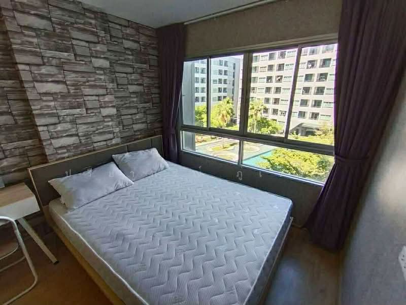 Elio Del Ray, Bangkok, 95 Sukhumvit 64 Road, Bang Chak, Phra Khanong, Bangkok, 1 Bedroom, 30 sqm, Condo For Rent, by ปรียาภรณ์ ภู่เจริญ, 500199769 - DDproperty.com