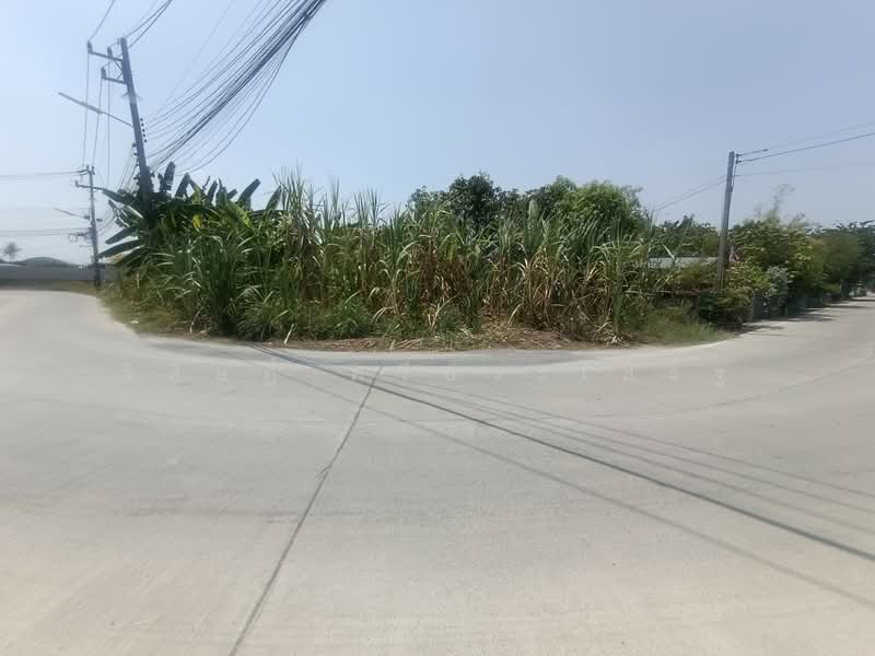 ซอยถนนเลียบคลองโยง ศาลายา, Nakhon Pathom, Salaya, Phuttha Mon Thon, Nakhon Pathom, , 444 sqm, Land For Sale, by WISIT SRIPRASERT, 500199774 - DDproperty.com