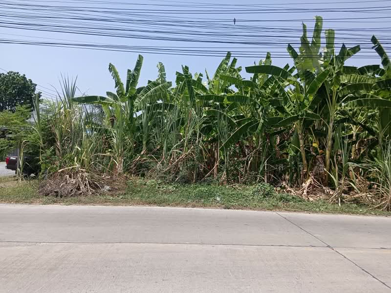 ซอยถนนเลียบคลองโยง ศาลายา, Nakhon Pathom, Salaya, Phuttha Mon Thon, Nakhon Pathom, , 444 sqm, Land For Sale, by WISIT SRIPRASERT, 500199774 - DDproperty.com