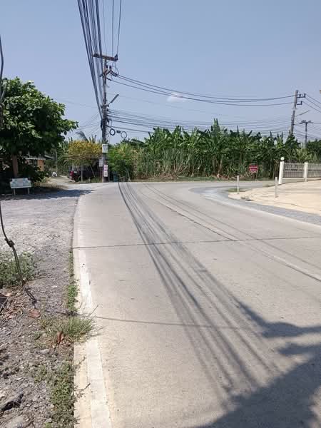 ซอยถนนเลียบคลองโยง ศาลายา, นครปฐม, ศาลายา, พุทธมณฑล, นครปฐม, 444 ตร.ม., ที่ดิน ขาย, โดย วิศิษฏ์ ศรีประเสริฐ, 500199774 - DDproperty.com