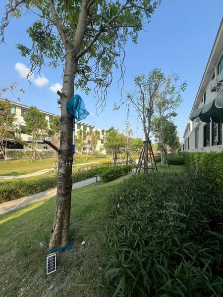 Altitude Kraf Bangna : อัลติจูด คราฟ บางนา, สมุทรปราการ, 159 หมู่ 12 ถนน เลียบคลองหลวงแพ่ง, บางแก้ว, บางพลี, สมุทรปราการ, 168 ตร.ม., ทาวน์เฮ้าส์ ให้เช่า, โดย Khun Jane, 500199898 - DDproperty.com