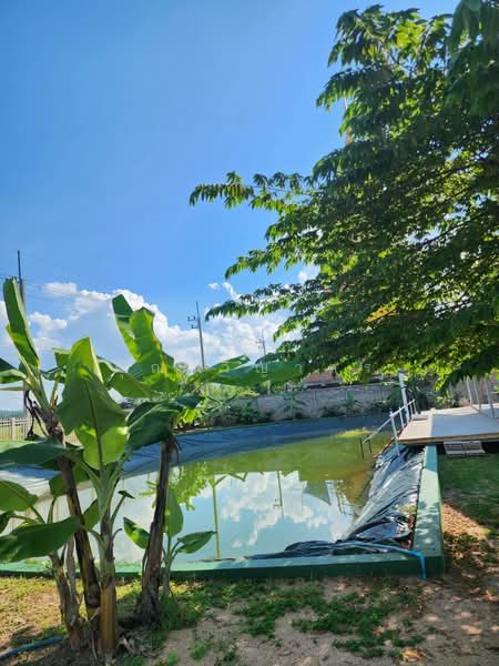 ขายที่ดินพร้อมสิ่งปลูกสร้าง ทำเลดี อำเภอป่าขาง จังหวัดลำพูน, ลำพูน, มะกอก, ป่าซาง, ลำพูน, 11,200 ตร.ม., ที่ดิน ขาย, โดย คุณ วิญากร, 500199953 - DDproperty.com