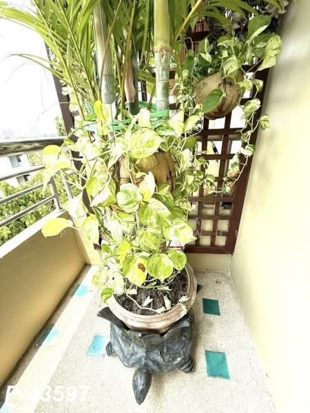 Supreme Ville Condominium : สุพรีม วิลล์ คอนโดมิเนียม, กรุงเทพ, เย็นอากาศ, ทุ่งมหาเมฆ, สาทร, กรุงเทพ, 118 ตร.ม., คอนโด ให้เช่า, โดย Susira Preuksawun, 500200025 - DDproperty.com