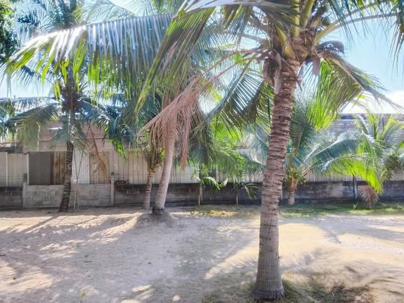 Land for sale, Chon Buri (Pattaya), Huai Yai, Bang Lamung (Pattaya), Chon Buri (Pattaya), , 800 sqm, Land For Sale, by Nichapa Phiachan, 500200043 - DDproperty.com