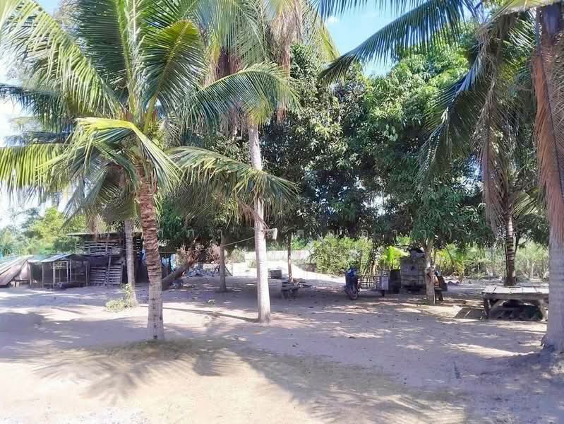 Land for sale, Chon Buri (Pattaya), Huai Yai, Bang Lamung (Pattaya), Chon Buri (Pattaya), , 800 sqm, Land For Sale, by Nichapa Phiachan, 500200043 - DDproperty.com