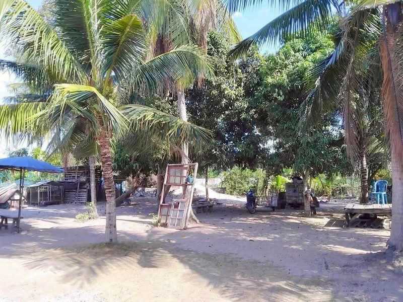 Land for sale, Chon Buri (Pattaya), Huai Yai, Bang Lamung (Pattaya), Chon Buri (Pattaya), , 800 sqm, Land For Sale, by Nichapa Phiachan, 500200043 - DDproperty.com