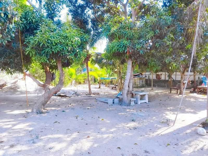 Land for sale, Chon Buri (Pattaya), Huai Yai, Bang Lamung (Pattaya), Chon Buri (Pattaya), , 800 sqm, Land For Sale, by Nichapa Phiachan, 500200043 - DDproperty.com