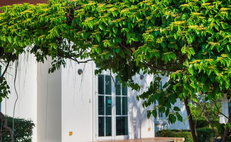 ขาย - BelVida Estates Hua Hin, ประจวบคีรีขันธ์