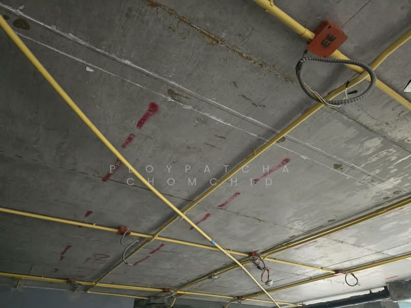 Retail Space for Rent in Asoke, Bangkok, Khlongtoei Nua, Watthana, Bangkok, , 155 sqm, Retail Space For Rent, by Ploypatcha Chomchid, 500200055 - DDproperty.com