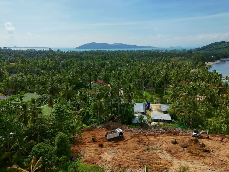 ขายที่ดินเกาะสมุย 2 ไร่ ตลิ่งงาม ใกล้ทะเล แบ่งขาย เหมาะสร้างวิลล่าและรีสอร์ต, Surat Thani, Taling Ngam, Ko Samui, Surat Thani, , 3,200 sqm, Land For Sale, by Jutanon Komoottanaruk, 500200071 - DDproperty.com