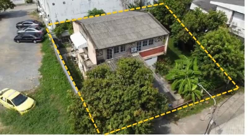 ที่ดินพร้อมบ้านเดี่ยว โชคชัย 4 ซอย 25 ถ.โชคชัย4 ซ.โชคชัย 4 ซอย25 แขวงลาดพร้าว เขตลาดพร้าว, Bangkok, โชคชัย4, Lat Phrao, Lat Phrao, Bangkok, 4 Bedrooms, 220 sqm, Single Detached House For Sale, by คุณศุภโชค ฟักแก้ว (บิ๊ก), 500200097 - DDproperty.com