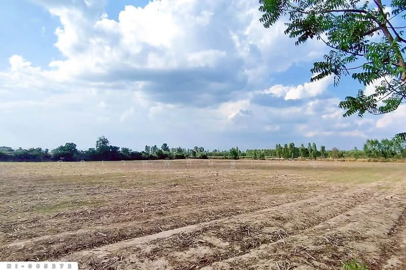 NI-065272 Land for sale in Khao Hin Son, 25 Rai 53 sq.w., Phanom Sarakham, Chachoengsao, Chachoengsao, Khao Hin Son, Phanom Sarakham, Chachoengsao, , 40,212 sqm, Land For Sale, by Benchawarin Pakkawetppisit, 500200144 - DDproperty.com