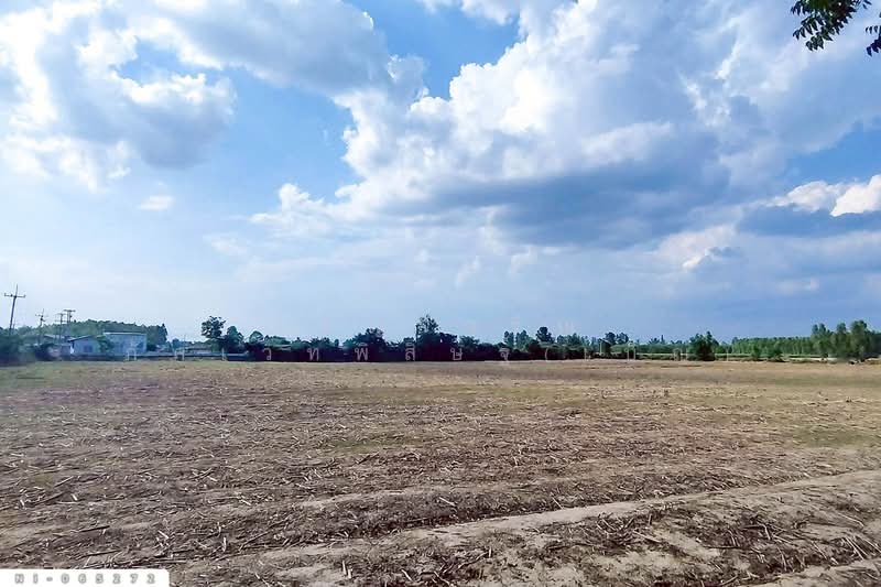 NI-065272 ที่ดินเขาหินซ้อน 25 ไร่ 53 ตร.ว. พนมสารคาม ฉะเชิงเทรา ใกล้วัดบุญญารามปู่เจ้าเขาเขียว, ฉะเชิงเทรา, เขาหินซ้อน, พนมสารคาม, ฉะเชิงเทรา, 40,212 ตร.ม., ที่ดิน ขาย, โดย เบ็ญจวริณ ภัคเวทพิสิษฐ์(เบ็ญ), 500200144 - DDproperty.com