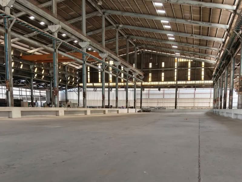 ให้เช่า โกดัง+โรงงาน ถนนบางนา- ตราด กม 13 ใกล้ ด่วน บูรพาวิถี, สมุทรปราการ, บางโฉลง, บางพลี, สมุทรปราการ, 3,000 ตร.ม., โกดัง-โรงงาน ให้เช่า, โดย Tida phanthonglarptawee, 500200191 - DDproperty.com