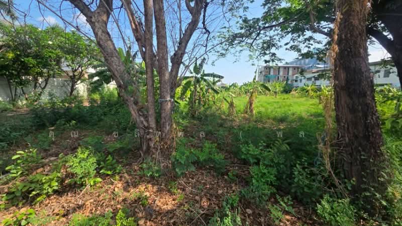 ที่ดินถมแล้ว 4 ไร่ ซอยพระแม่การุณย์ ศรีสมาน เดินทางสะดวก ใกล้ทางด่วน, นนทบุรี, ติวานนท์, บ้านใหม่, ปากเกร็ด, นนทบุรี, 6,400 ตร.ม., ที่ดิน ขาย, โดย คุณ ชลิตพล ( พล ), 500200203 - DDproperty.com