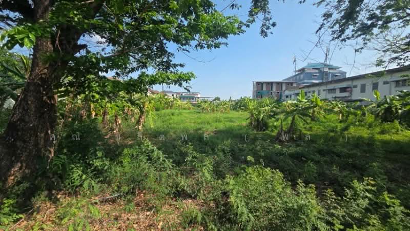 ที่ดินถมแล้ว 4 ไร่ ซอยพระแม่การุณย์ ศรีสมาน เดินทางสะดวก ใกล้ทางด่วน, Nonthaburi, ติวานนท์, Ban Mai, Pak Kret, Nonthaburi, , 6,400 sqm, Land For Sale, by คุณ ชลิตพล ( พล ), 500200203 - DDproperty.com