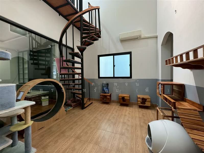 บ้านเดี่ยว 2 ชั้น 51 ตร.ว. บ้านเดี่ยว ซอยรังสิต-นครนายก16, Pathum Thani, Prachathipat, Thanyaburi, Pathum Thani, 4 Bedrooms, 210 sqm, Single Detached House For Sale, by คุณ คติพจน์ ภัทรธนทรัพย์ (พีท), 500200225 - DDproperty.com