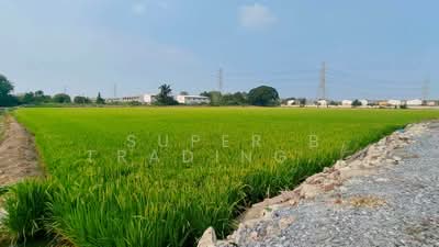 ขาย - ที่ดิน ไทรน้อย, นนทบุรี
