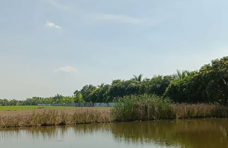 Land for sale in Nakhon Pathom, Bang Len, 2 rai 0 ngan 71.6 square wah, near Wat Bueng Latsawai Scho, Nakhon Pathom, Bang Phasi, Bang Len, Nakhon Pathom, , 3,484 sqm, Land For Sale, by อนันต์ อัมรินทร์, 500200289 - DDproperty.com