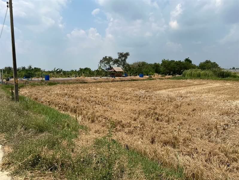 ที่ดินเปล่า 231 ตร.ว. ที่ดิน ซอยเลียบคลอง11 ถนนพหลโยธิน, ปทุมธานี, บึงคอไห, ลำลูกกา, ปทุมธานี, 924 ตร.ม., ที่ดิน ขาย, โดย คุณ ณัฐดนัย ก้อนทอง (ณน), 500200291 - DDproperty.com