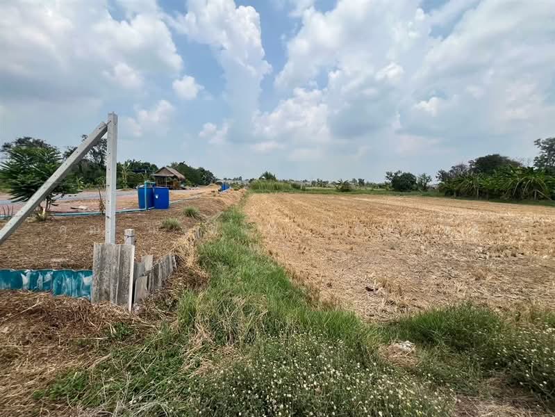 ที่ดินเปล่า 231 ตร.ว. ที่ดิน ซอยเลียบคลอง11 ถนนพหลโยธิน, Pathum Thani, Bung Khohai, Lam Luk Ka, Pathum Thani, , 924 sqm, Land For Sale, by คุณ ณัฐดนัย ก้อนทอง (ณน), 500200291 - DDproperty.com