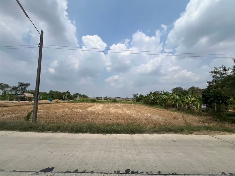 ที่ดินเปล่า 231 ตร.ว. ที่ดิน ซอยเลียบคลอง11 ถนนพหลโยธิน, Pathum Thani, Bung Khohai, Lam Luk Ka, Pathum Thani, , 924 sqm, Land For Sale, by คุณ ณัฐดนัย ก้อนทอง (ณน), 500200291 - DDproperty.com