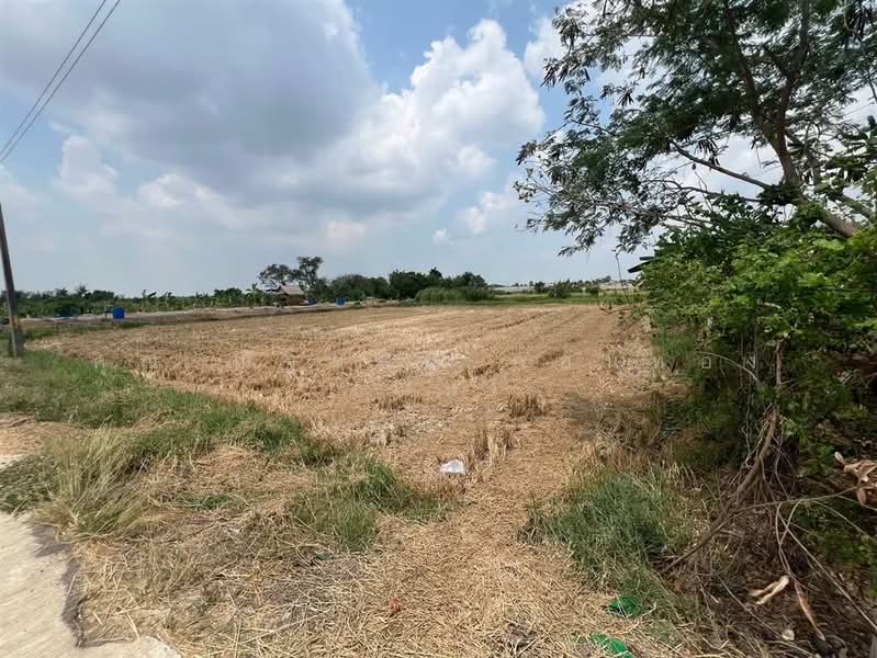 ที่ดินเปล่า 231 ตร.ว. ที่ดิน ซอยเลียบคลอง11 ถนนพหลโยธิน, ปทุมธานี, บึงคอไห, ลำลูกกา, ปทุมธานี, 924 ตร.ม., ที่ดิน ขาย, โดย คุณ ณัฐดนัย ก้อนทอง (ณน), 500200291 - DDproperty.com