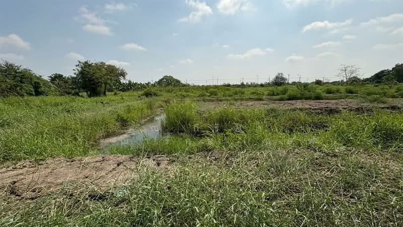 ที่ดินเปล่า 2 ไร่ 28 ตร.ว. ที่ดิน ใกล้ธนาคาร ธกส. สาขาคลอง 9 ถนนกาญจนาภิเษก, ปทุมธานี, ลำผักกูด, ธัญบุรี, ปทุมธานี, 3,312 ตร.ม., ที่ดิน ขาย, โดย คุณ กิริยา วรรณารักษ์ (แอฟ), 500200299 - DDproperty.com