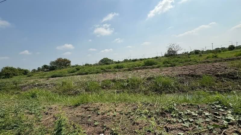 ที่ดินเปล่า 2 ไร่ 28 ตร.ว. ที่ดิน ใกล้ธนาคาร ธกส. สาขาคลอง 9 ถนนกาญจนาภิเษก, ปทุมธานี, ลำผักกูด, ธัญบุรี, ปทุมธานี, 3,312 ตร.ม., ที่ดิน ขาย, โดย คุณ กิริยา วรรณารักษ์ (แอฟ), 500200299 - DDproperty.com