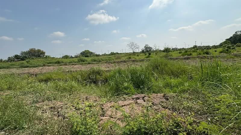 ที่ดินเปล่า 2 ไร่ 28 ตร.ว. ที่ดิน ใกล้ธนาคาร ธกส. สาขาคลอง 9 ถนนกาญจนาภิเษก, Pathum Thani, Lam Phak Kut, Thanyaburi, Pathum Thani, , 3,312 sqm, Land For Sale, by คุณ กิริยา วรรณารักษ์ (แอฟ), 500200299 - DDproperty.com