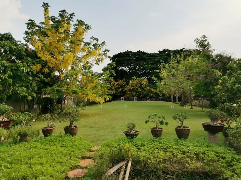 ที่ดินในเมือง ลำพูน, ลำพูน, ในเมือง, เมืองลำพูน, ลำพูน, 1,420 ตร.ม., ที่ดิน ขาย, โดย The Best Property บอย, 500200326 - DDproperty.com