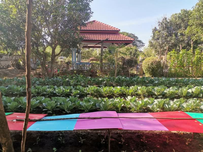 ที่ดินในเมือง ลำพูน, Lamphun, Nai Muang, Muang Lamphun, Lamphun, , 1,420 sqm, Land For Sale, by The Best Property   บอย, 500200326 - DDproperty.com