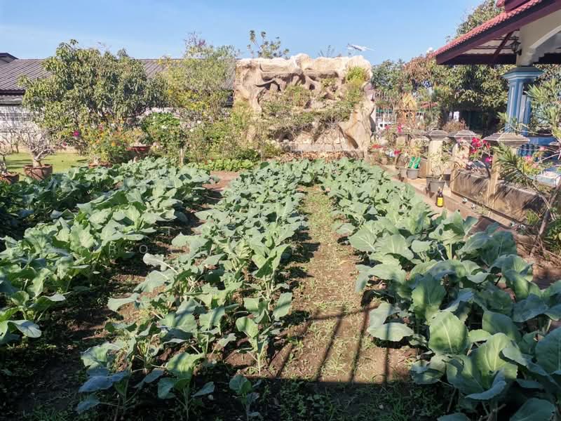 ที่ดินในเมือง ลำพูน, Lamphun, Nai Muang, Muang Lamphun, Lamphun, , 1,420 sqm, Land For Sale, by The Best Property   บอย, 500200326 - DDproperty.com