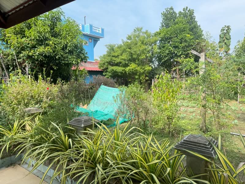 ที่ดินในเมือง ลำพูน, ลำพูน, ในเมือง, เมืองลำพูน, ลำพูน, 1,420 ตร.ม., ที่ดิน ขาย, โดย The Best Property บอย, 500200326 - DDproperty.com