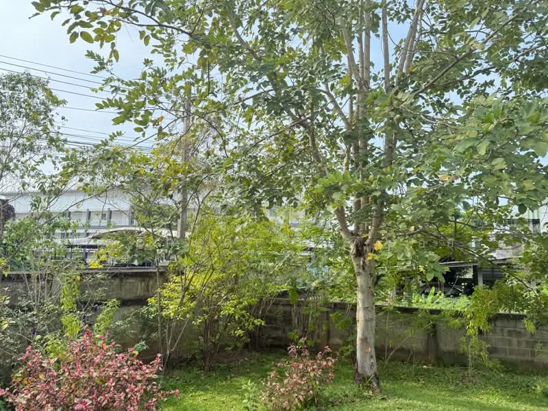 ที่ดินในเมือง ลำพูน, Lamphun, Nai Muang, Muang Lamphun, Lamphun, , 1,420 sqm, Land For Sale, by The Best Property   บอย, 500200326 - DDproperty.com