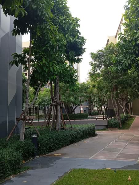 พลัมคอนโด รังสิต อไลฟ์(Plum Condo Rangsit Alive), ปทุมธานี, Phaholyothin Khlong Nueng, คลองหนึ่ง, คลองหลวง, ปทุมธานี, 27 ตร.ม., คอนโด ขาย, โดย Sansern Na Patthalung, 500200331 - DDproperty.com