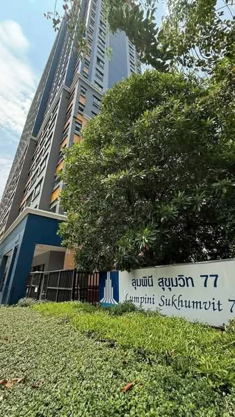 Lumpini Ville Sukhumvit 77, Bangkok, Sukhumvit 77 Road, Suan Luang, Bangkok, 1 Bedroom, 35 sqm, Condo For Rent, by Khun Toey เตย, 500200348 - DDproperty.com
