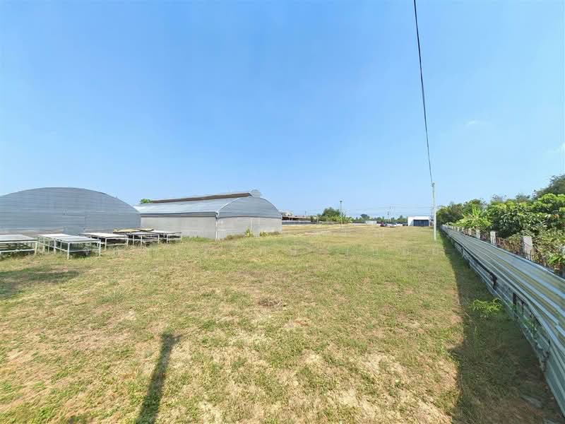 ที่ดิน + บ้านเดี่ยว 1 ชั้น 2 ไร่ 364 ตร.ว. ที่ดิน + บ้าน ใกล้สหกรณ์โคเนื้อ กำแพงแสน กำแพงแสน นครปฐม, นครปฐม, ทุ่งลูกนก, กำแพงแสน, นครปฐม, 4,656 ตร.ม., ที่ดิน ขาย, โดย คุณ กันตภณ จักกาวิรักษ์ (บอย), 500200358 - DDproperty.com