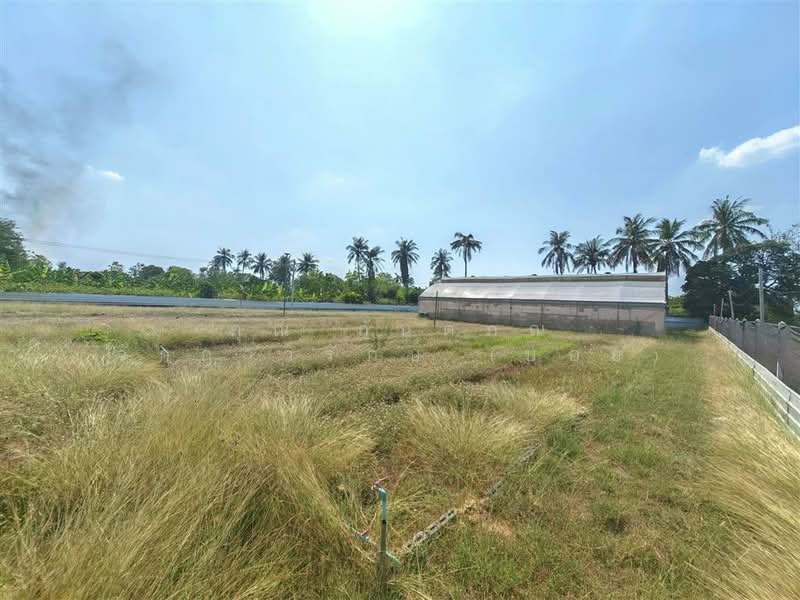 ที่ดิน + บ้านเดี่ยว 1 ชั้น 2 ไร่ 364 ตร.ว. ที่ดิน + บ้าน ใกล้สหกรณ์โคเนื้อ กำแพงแสน กำแพงแสน นครปฐม, Nakhon Pathom, Thung Luk Nok, Kamphaeng Saen, Nakhon Pathom, , 4,656 sqm, Land For Sale, by คุณ กันตภณ จักกาวิรักษ์ (บอย), 500200358 - DDproperty.com