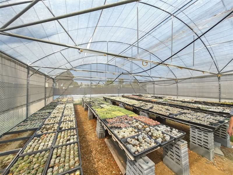 ที่ดิน + บ้านเดี่ยว 1 ชั้น 2 ไร่ 364 ตร.ว. ที่ดิน + บ้าน ใกล้สหกรณ์โคเนื้อ กำแพงแสน กำแพงแสน นครปฐม, นครปฐม, ทุ่งลูกนก, กำแพงแสน, นครปฐม, 4,656 ตร.ม., ที่ดิน ขาย, โดย คุณ กันตภณ จักกาวิรักษ์ (บอย), 500200358 - DDproperty.com