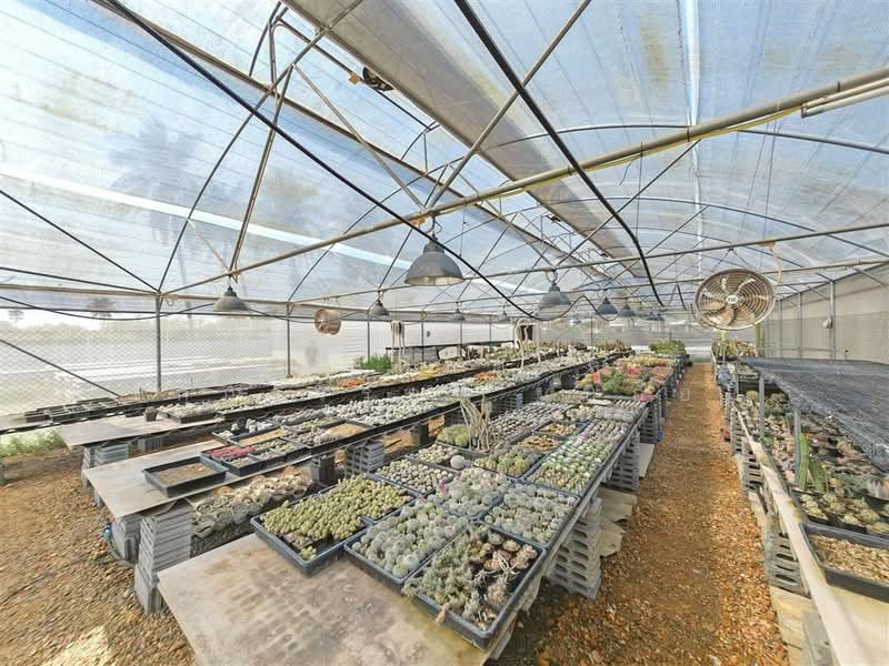 ที่ดิน + บ้านเดี่ยว 1 ชั้น 2 ไร่ 364 ตร.ว. ที่ดิน + บ้าน ใกล้สหกรณ์โคเนื้อ กำแพงแสน กำแพงแสน นครปฐม, Nakhon Pathom, Thung Luk Nok, Kamphaeng Saen, Nakhon Pathom, , 4,656 sqm, Land For Sale, by คุณ กันตภณ จักกาวิรักษ์ (บอย), 500200358 - DDproperty.com