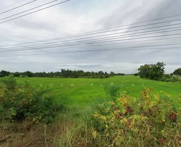 ขาย - ขายที่ดิน 9-2-80 ไร่ ใกล้ตลาดบางบ่อและหอดูดาวเฉลิมพระเกียรติ ฉะเชิงเทรา, ฉะเชิงเทรา