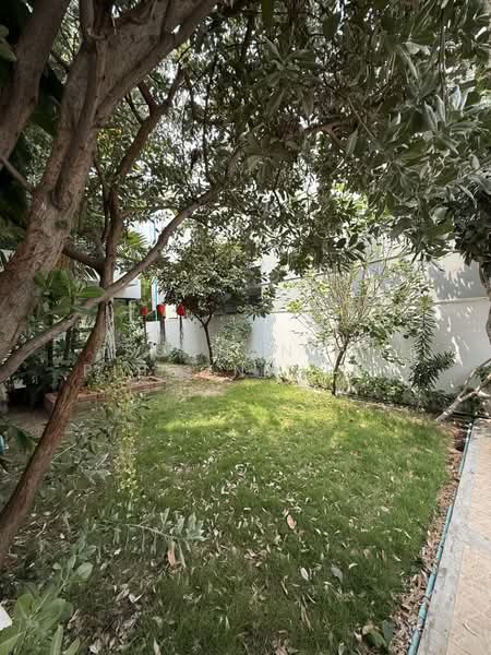 House For Rent The Noble Ekkamai 22, กรุงเทพ, Ekkamai 22, คลองตันเหนือ, วัฒนา, กรุงเทพ, 450 ตร.ม., บ้านเดี่ยว ให้เช่า, โดย Suchanya Piboonwiput, 500200451 - DDproperty.com