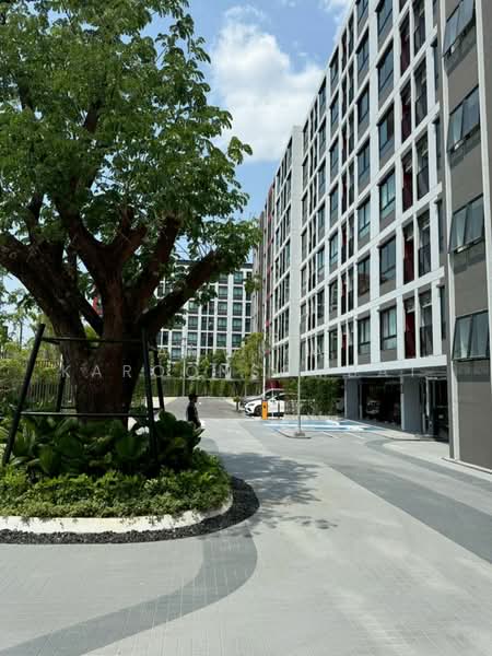 Dcondo Vivid Rangsit, Pathum Thani, Phaholyothin Road, Khlong Nung, Khlong Luang, Pathum Thani, Studio, 26 sqm, Condo For Rent, by Amwika Karoonsombat, 500200462 - DDproperty.com