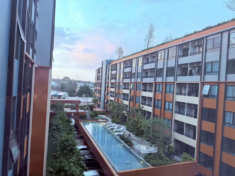 The Cube Amaze Srisoonthon, Phuket, 46/21 Srisoonthorn Rd, Sri Sunthon, Thalang, Phuket, 1 Bedroom, 31 sqm, Condo For Rent, by Prime Global Asset ( Bom ), 500200470 - DDproperty.com